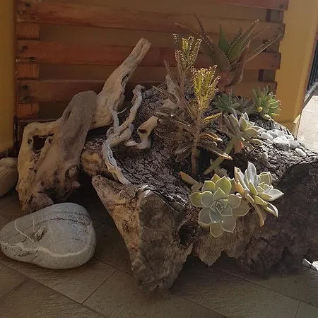 Panzió Mirasol Scalea